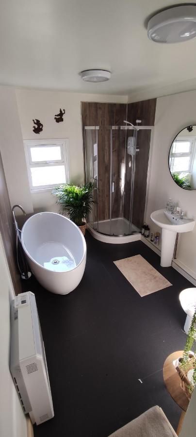 Adail Cottage 애버리스트위스 외부 사진