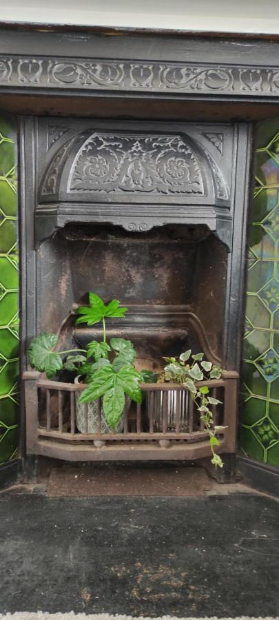 Adail Cottage 애버리스트위스 외부 사진