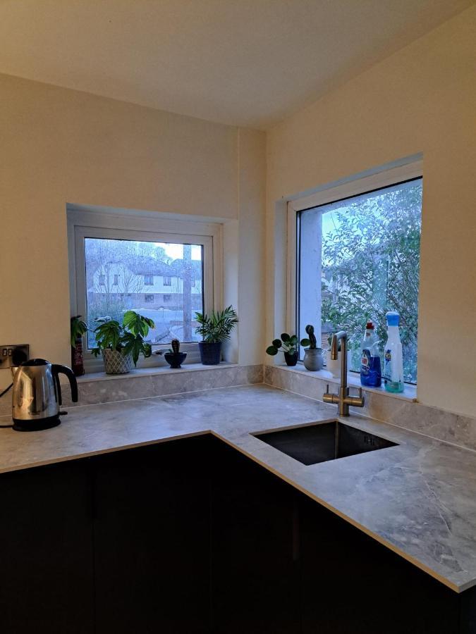 Adail Cottage 애버리스트위스 외부 사진